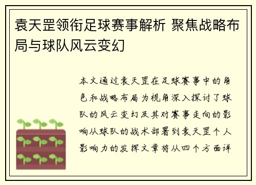 袁天罡领衔足球赛事解析 聚焦战略布局与球队风云变幻