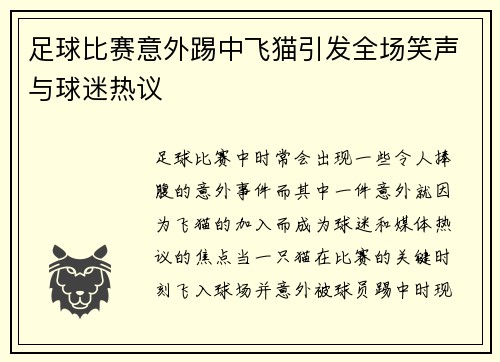 足球比赛意外踢中飞猫引发全场笑声与球迷热议