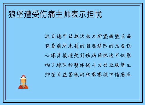 狼堡遭受伤痛主帅表示担忧