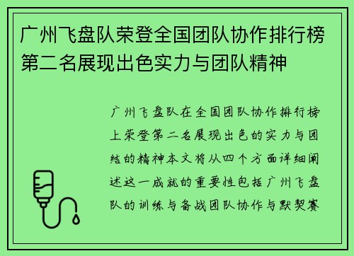 广州飞盘队荣登全国团队协作排行榜第二名展现出色实力与团队精神