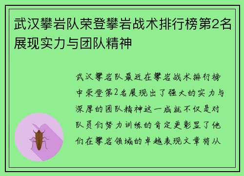 武汉攀岩队荣登攀岩战术排行榜第2名展现实力与团队精神